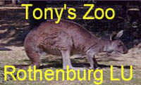 Toni's Zoo  Rothenburg LU