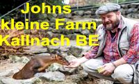 Johns kleine Farm