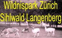 Stiftung Wildnispark Langenberg ZH
