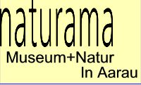 Naturama Museum Aargau