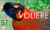 Vogel Volière  St. Gallen